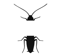  
              Best Pest Control Services in Dubai (Best Price Pest Control Services)Call Now.
              